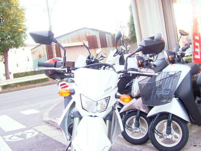 201201208g.jpg