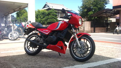 20120820h.jpg