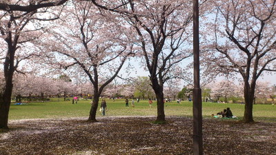 20130402b.jpg