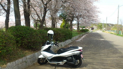 20130402c.jpg