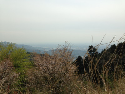 20130424c.jpg