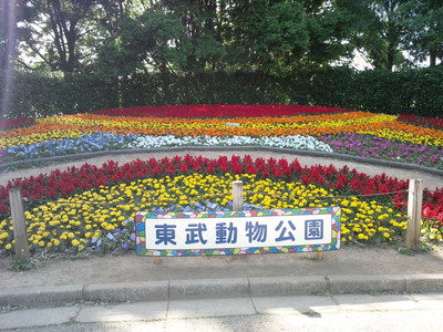 20140519a.jpg