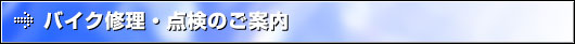 �o�C�N�C���E�_���̂��ē�